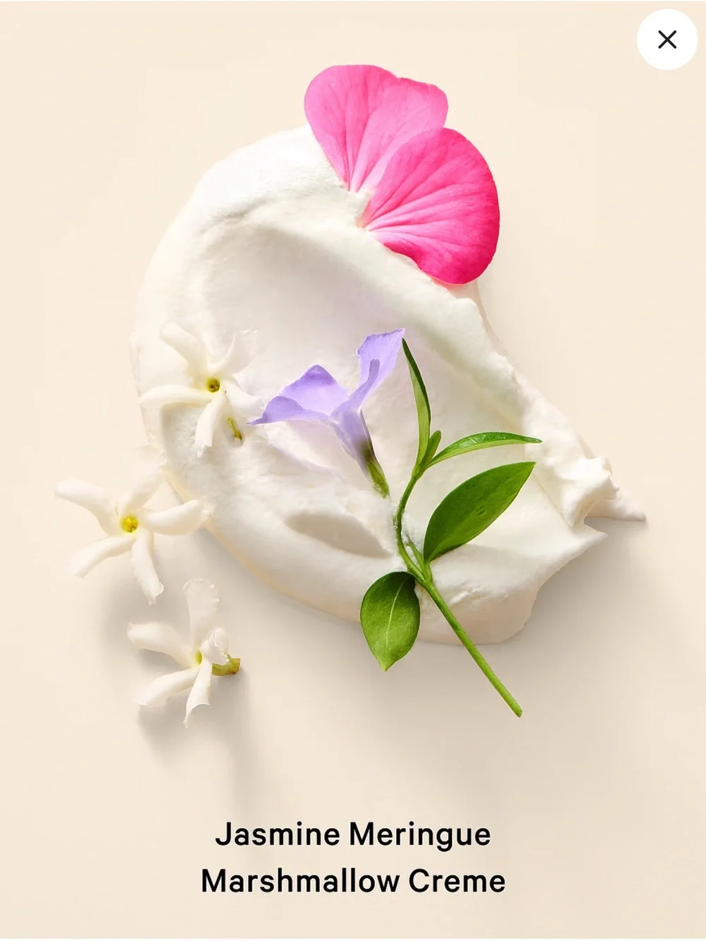 Pure Seduction Whipped Fragrance Lotion vs